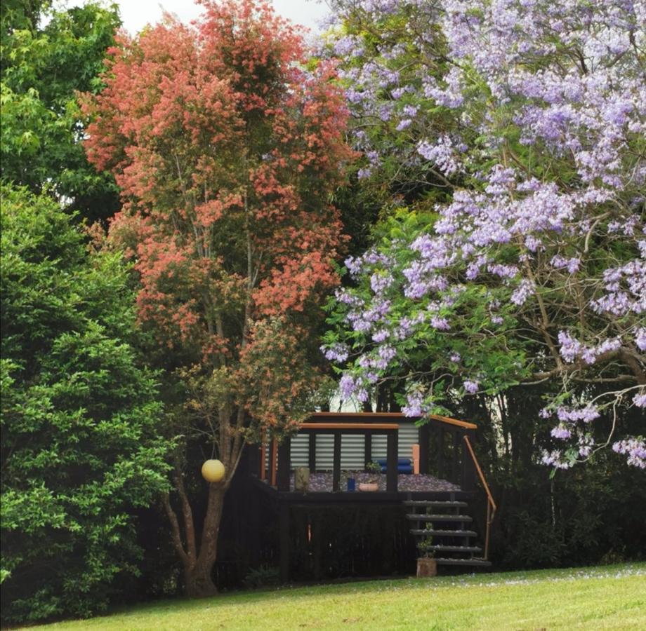 Wyndover Mountain Retreat Beechmont Екстериор снимка